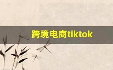 跨境电商tiktok怎么运营_海外抖音tik tok